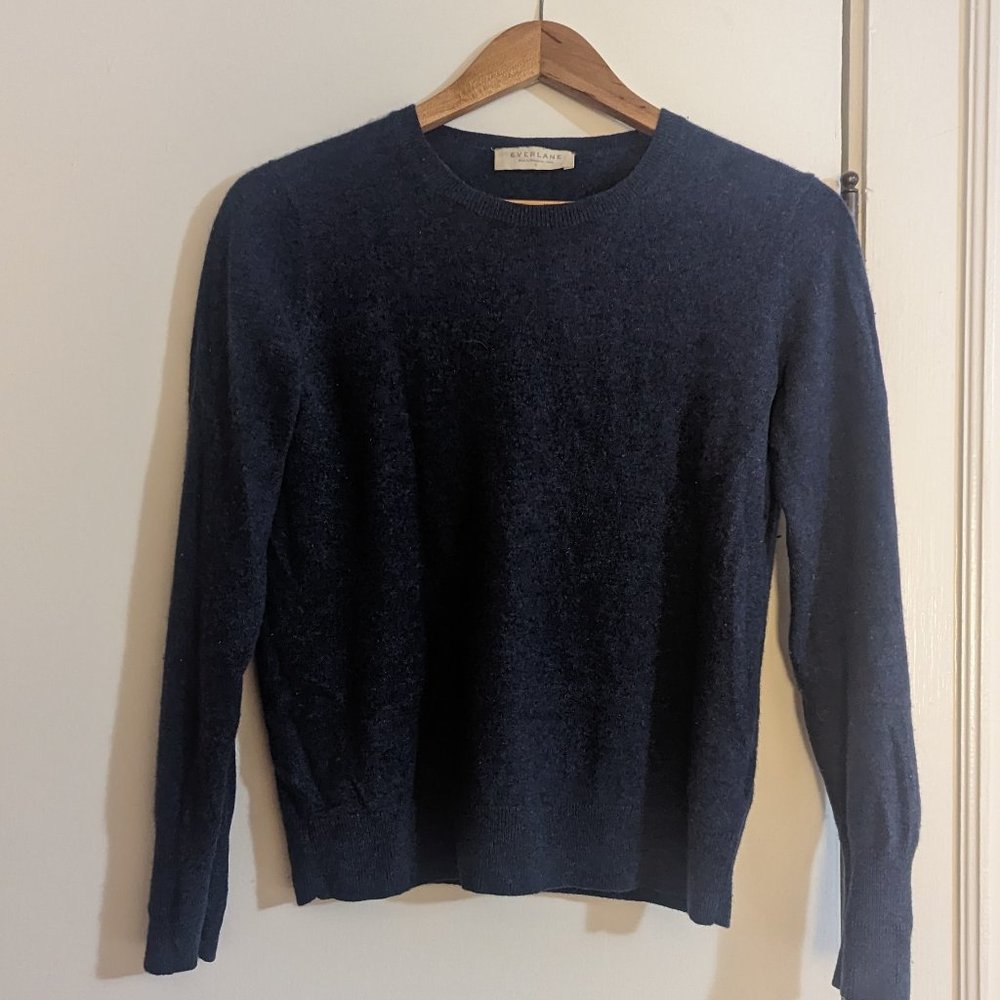 Everlane Cashmere Crew Sweater